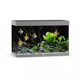 Juwel harmaa 290L akvaario ja kaapisto - Akvaariopaketit - 12888985 - 1