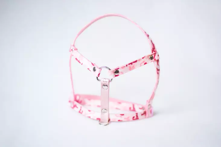 Lavellas Lapavaljas M - Kanien valjaat - 11335355 - 2