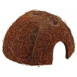 ReptiPlanet Kookospiilo - Luolat ja piilot - 8595091793525 - 1