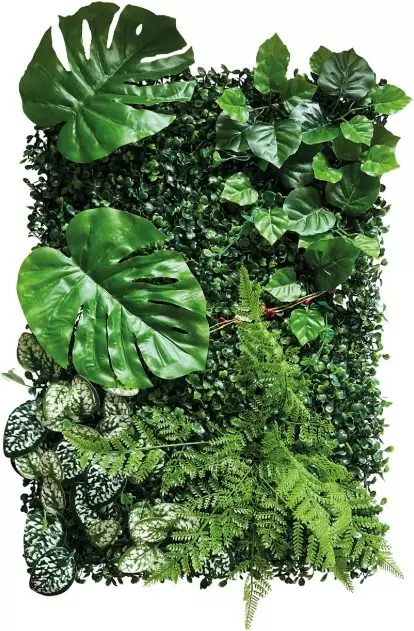 Repto Plant Back Wall Mat 40x60, 2 - Tekokasvit - 8715897339615 - 1