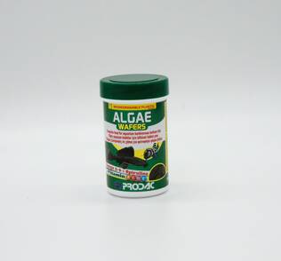 Prodac Algae Wafers - Prodac kalanruoat - 8018189850936 - 1