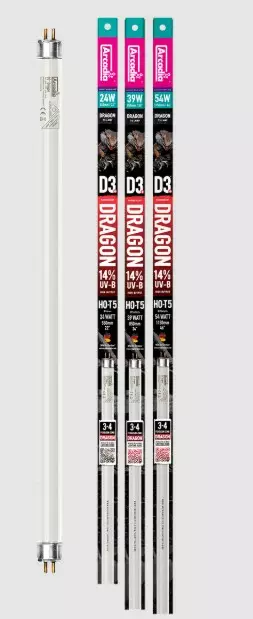 Arcadia Dragon T5 UVB 14% - Terraarion valaistus - 844046012296 - 2