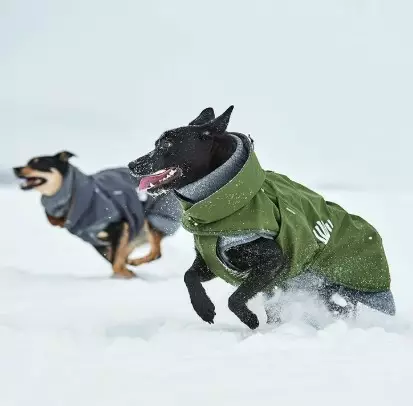 Hurtta Walk kausitakki metsänvihreä - Takit ja manttelit - 6410329350436 - 2