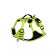 Rogz Explore valjas keltainen - Koiran valjaat - 649510046186 - 1