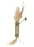 Flamingo Katti kissanminttupötkö - Kissanminttulelut - 5400585352276 - 1