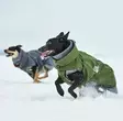 Hurtta Walk kausitakki metsänvihreä - Takit ja manttelit - 6410329350436 - 2