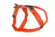 Non-Stop Line Harness 5.0 - Koiran valjaat - 7071652021876 - 1