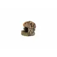 Ozami fossiilikoriste 13,5x12,5x13,5cm - Akvaarion koristeet - 7330002055306 - 1