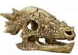 Superfish T-rex kallo M - Akvaarion koristeet - 8715897291166 - 1
