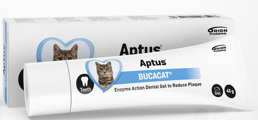 Bucacat 45 g. - Kissan hampaiden hoito - 6432100006516 - 1
