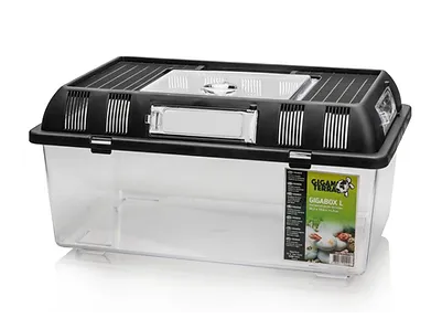 Gigabox Muoviterraario L - Matelijoiden terraariot - 3664471004256 - 1