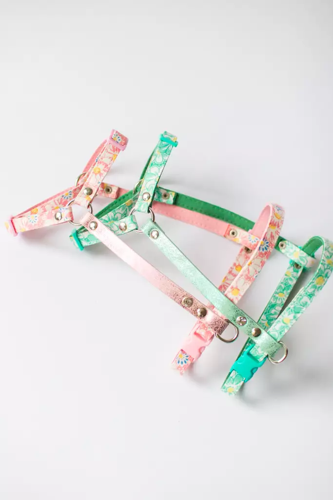 Lavellas Y-valjaat L - Kissan pannat, valjaat ja taluttimet - 11335346 - 1