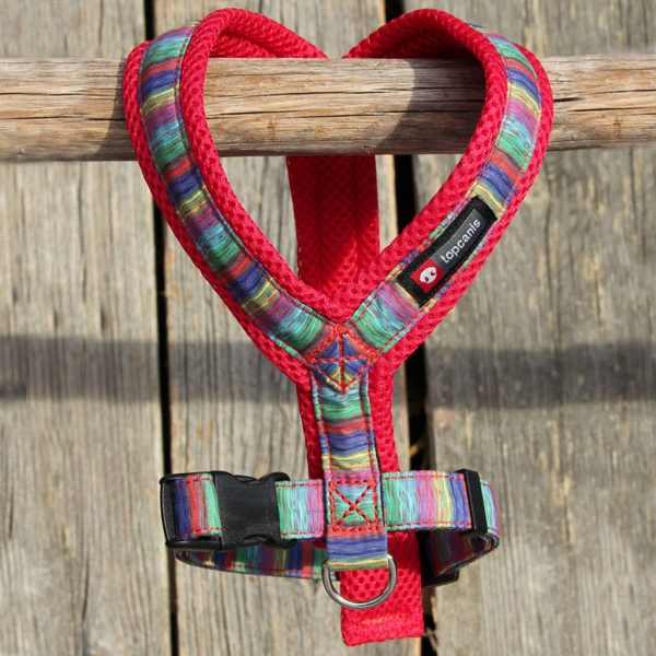 Nordic Lights mesh valjas - Koiran valjaat - 6430027774976 - 1