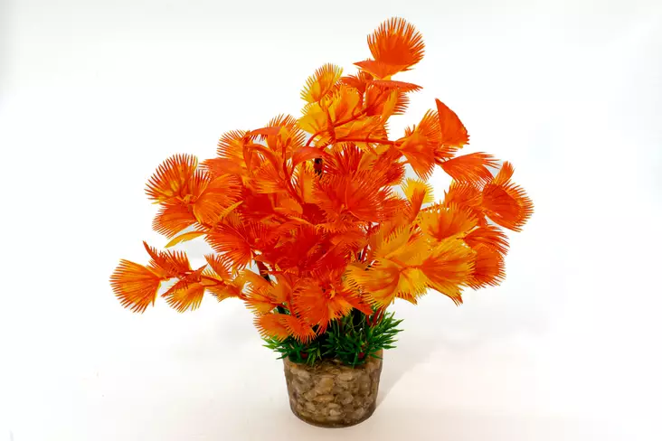 Zolux Decot muovikasvi M - Akvaarion koristeet - 3336023537566 - 1