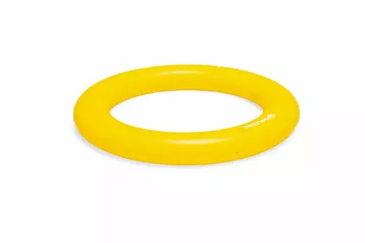 BZ Apportino kumirengas 22cm - Koiran uimalelut - 8712695213376 - 1
