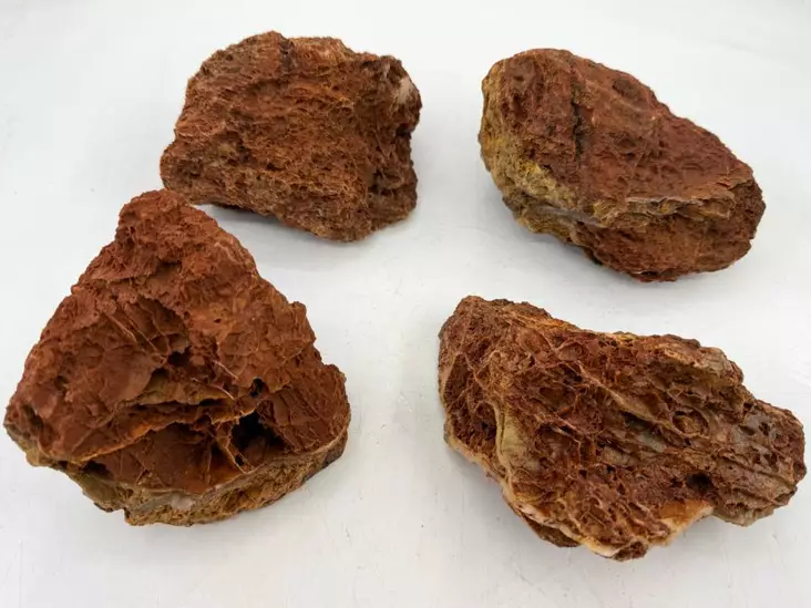 ¤fish Maple Leaf rock 8-15cm 1KG - Akvaarion kivet - 1506 - 1