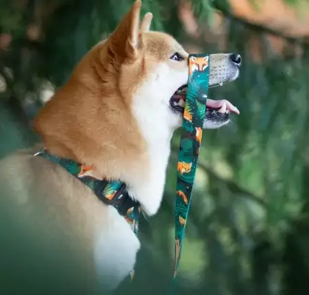 KETTU Solkipanta "Metsä Kettu" - Tekstiilipannat - 0004190201186 - 1