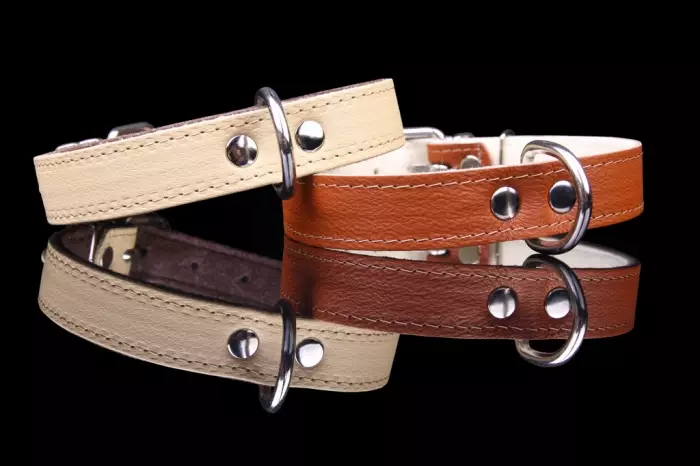 Zooleszcz Neo Nahkapanta - Nahkapannat - 5906365555016 - 1