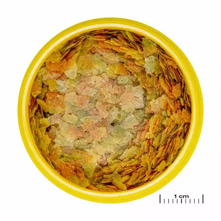 JBL ProNovo Betta 100ml - JBL kalanruoat - 4014162065087 - 2