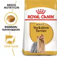 RC Breed Yorkshire Adult - Royal Canin kuivaruoat - 3182550716857 - 2