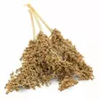 JR Farm Dari-Harvest 80g - Muut jyrsijän ja kani  herkut - 4024344262517 - 2