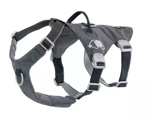 Hurtta Safeguard ECO Karhunvatukka - Koiran valjaat - 6410329347177 - 1