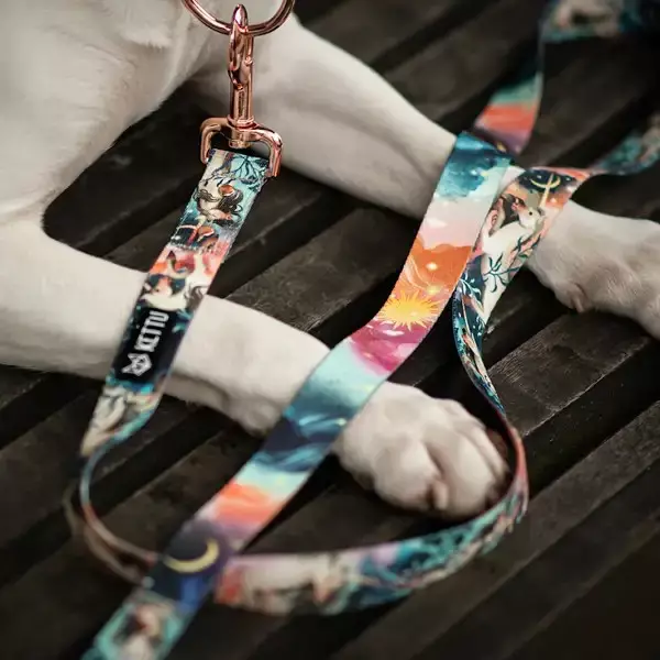 KETTU Monitoimitalutin "Yksisarvinen" - Koiran monitoimitaluttimet ja liinat - 0004190201197 - 1