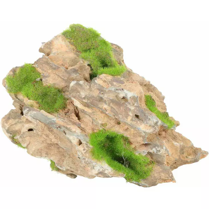 Zolux Kikopouss kivi 18x15cm siemenillä - Akvaarion kivet - 3336023560717 - 1