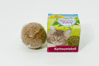 JR Farm kissanminttupallo - Kissanminttulelut - 4024344204098 - 1