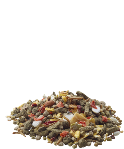 Versele Laga Nature Gerbiilinseos 700g - Kanien ja jyrsijöiden seokset - 5410340614228 - 2