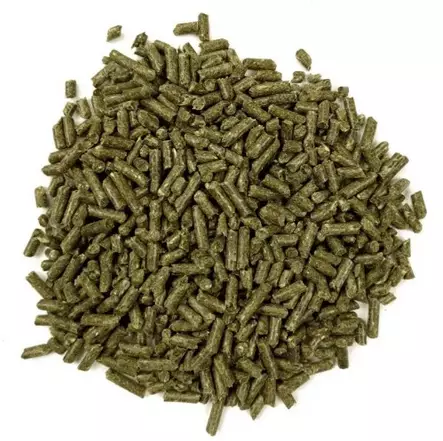 Oxbow Essential Adult Guinea Pig 2.2kg - Kanien ja jyrsijöiden pelletit - 744845401058 - 2