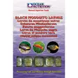 Ocean Nutrion White Mosquito Larvae 100g - Pakastekalanruoat - 5412482000198 - 1