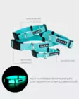 PAIKKA Glow Collar Aqua - Biothane-pannat - 6430076467508 - 1