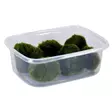 Akvaariokasvi palleroahdinparta 6kpl - Akvaariokasvit - 70010018 - 1