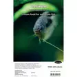 Daphnia 100g palapakkaus - Pakastekalanruoat - 8712718999928 - 1