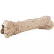 Exoterra Dinosaur Bone piilo - Luolat ja piilot - 015561228428 - 1