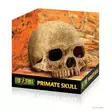Exoterra Primate Skull - Kallot ja koristeet - 015561228558 - 1