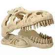 RP t-rex kallo pieni - Kallot ja koristeet - 8595091798858 - 1