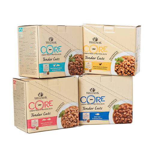 Core cat chicken and salmon 85g - Core märkäruuat - 076344116608 - 1