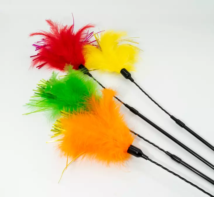 Kissanhuiska höyhen ja kimallepaperi - Kissan onget ja huiskut - 4021158486108 - 1