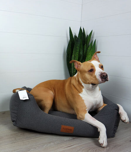 Tujoma Luxus Vaimare tummanharmaa - Koiran pedit - 6430035770328 - 1