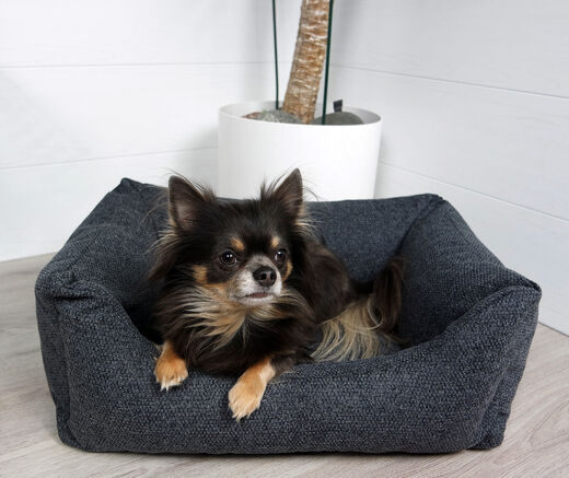 Tujoma Vaimere hiilenharmaa Grande97 - Koiran pedit - 6430035770298 - 1