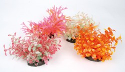 Zolux Aeroplant air-diffusor colour M - Akvaarion koristeet - 3336023520018 - 1