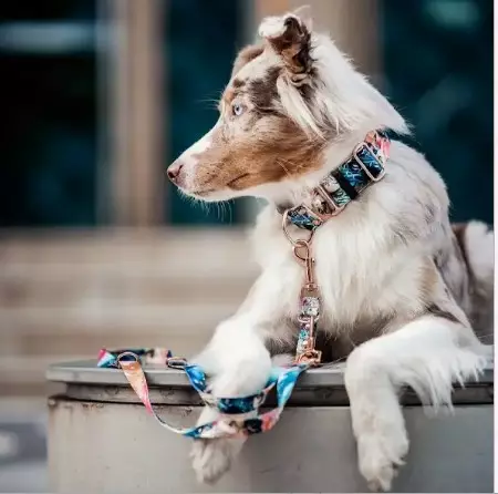 KETTU Solkipanta "ViimeinenYksisarvinen" - Tekstiilipannat - 0004190201198 - 1