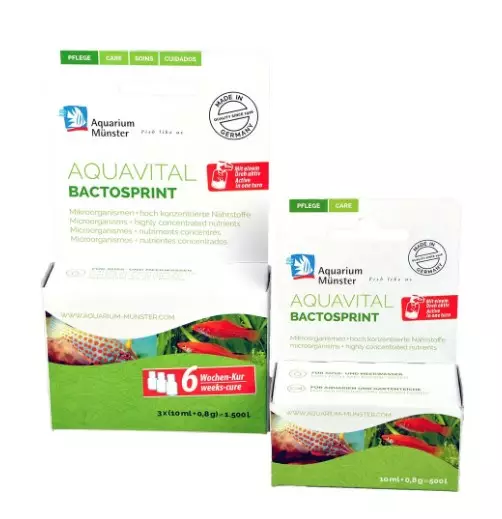 Aquarium Munster Aquavital Bactosprint - Akvaarion vedenhoitoaineet - 4005258004578 - 1