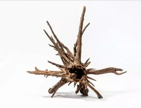 Aquadeco corbo root XL - Akvaarion kannot - 4260092575558 - 1