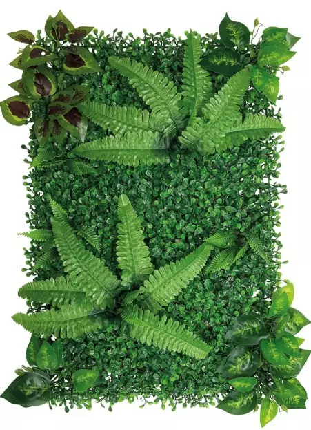 Repto Plant Back Wall Mat 40x60, 1 - Tekokasvit - 8715897339608 - 1