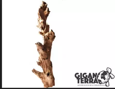 Giganterra Root Lurus S - Puut, korkit ja kivet - 3664471000159 - 1