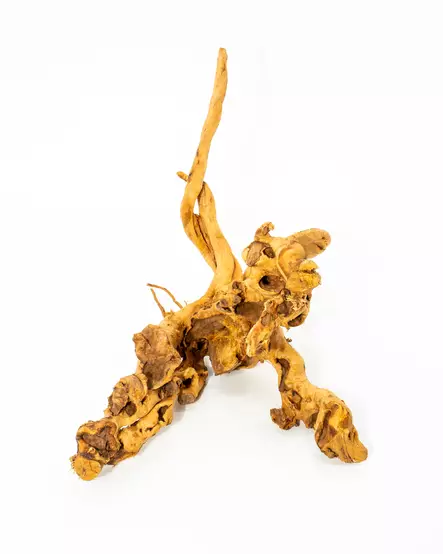 Redmoore, Hämähäkkijuurakko 1kg - Akvaarion kannot - 6035825604229 - 1