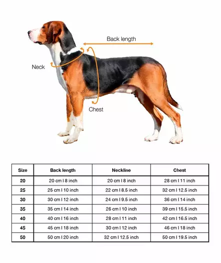 PAIKKA koiran villapaita vihreä - Paidat ja neuleet - 6430076463579 - 2